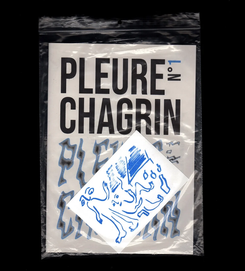 PLEURE CHAGRIN n°1 - Lena Longefay