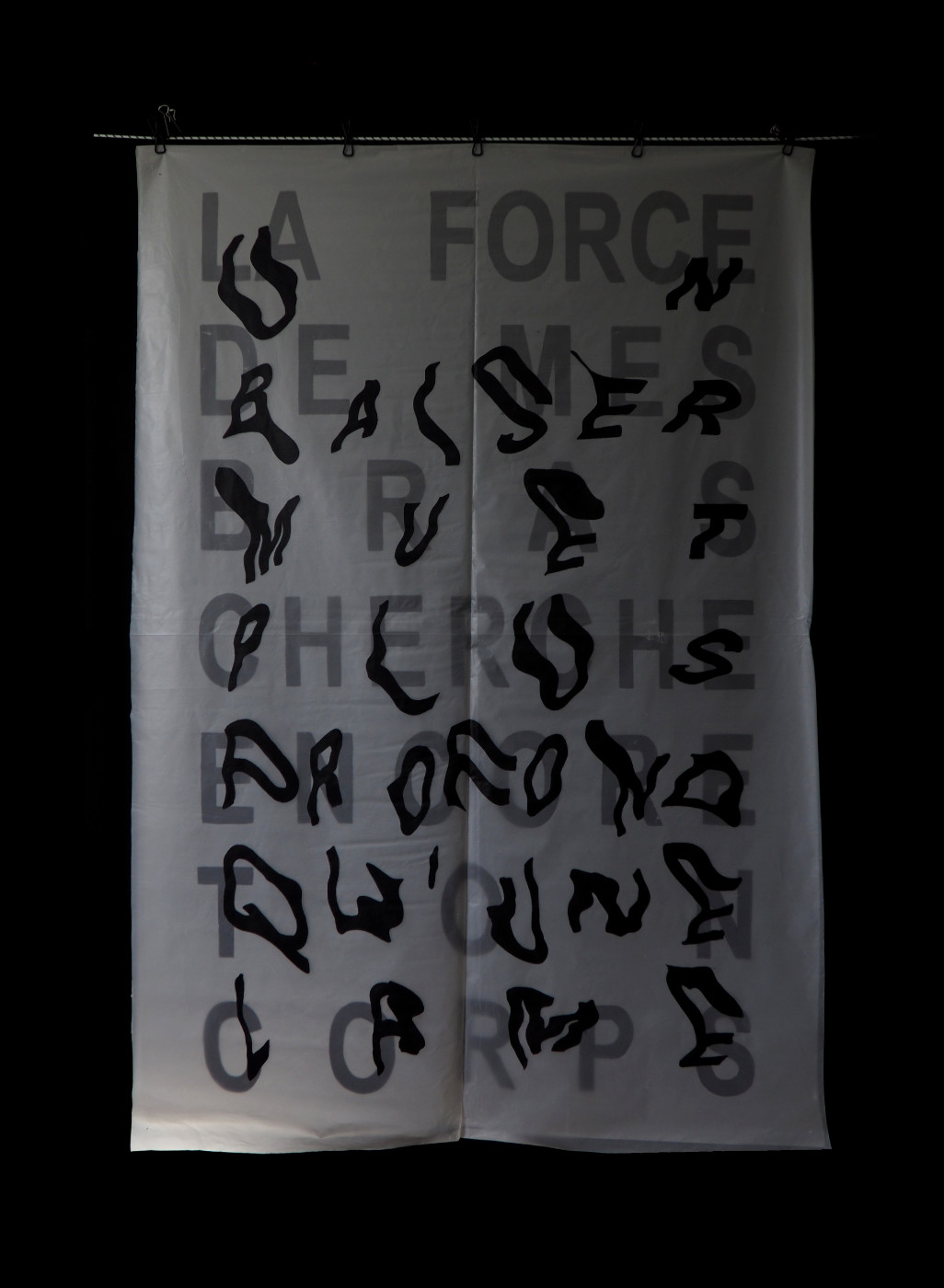 LA FORCE DE MES BRAS